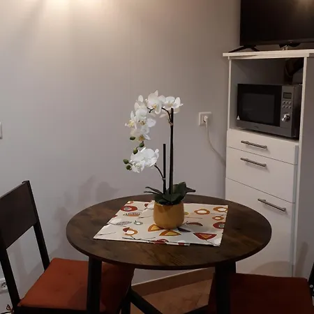 Apartamento Studio Rez-de-jardin Strasbourg Sud *