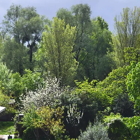 Studio Rez-de-jardin Strasbourg Sud *